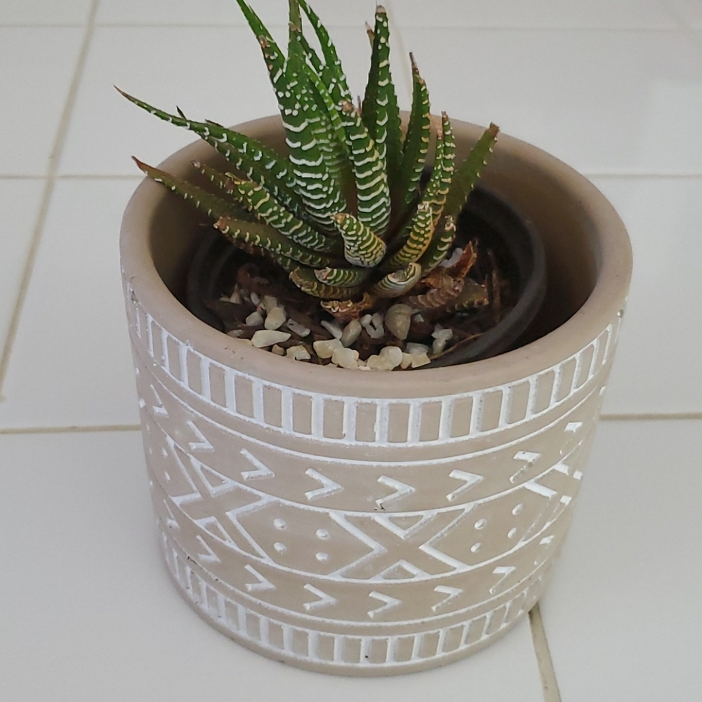 NEW! Aztec Cement Pot - Picture 2 of 6
